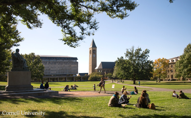 Featured image for “Talking About Cornell University’s Website”